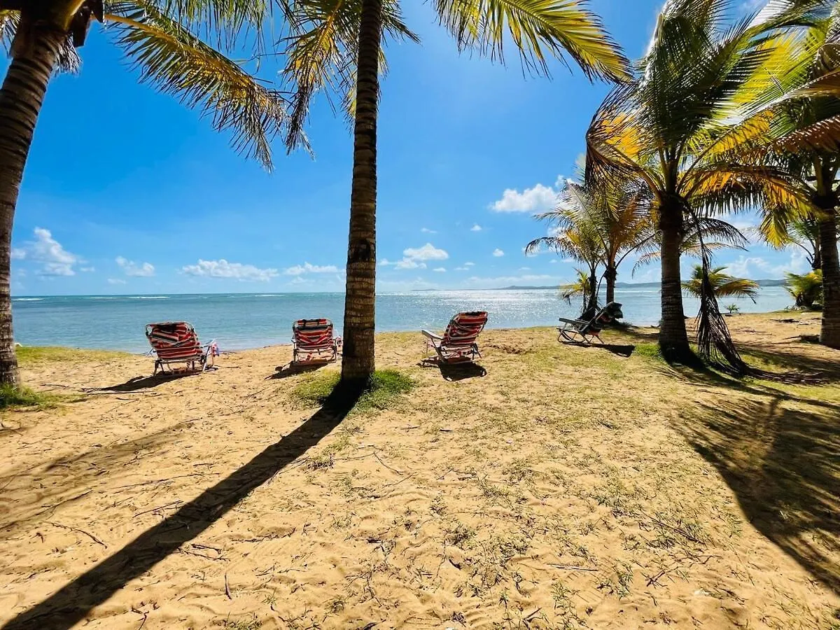 Endless Summer At Punta Bandera Luquillo Portoryko