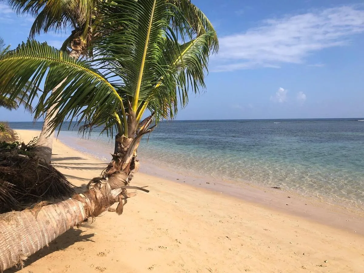Endless Summer At Punta Bandera Luquillo