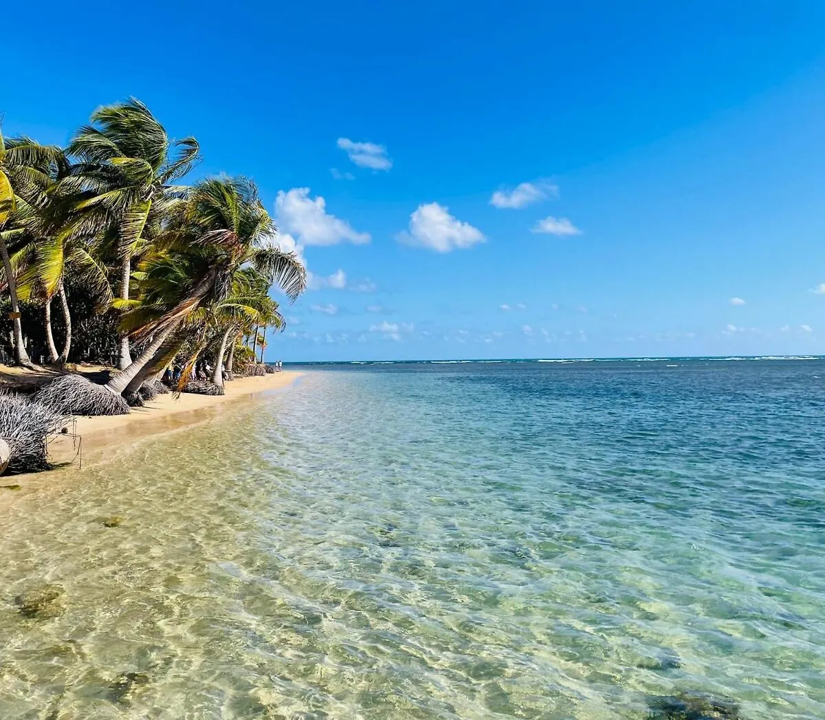Endless Summer At Punta Bandera Luquillo